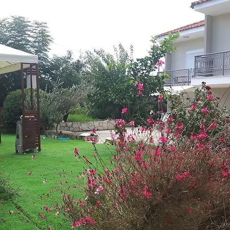 Apartamento Alba Boutique *
